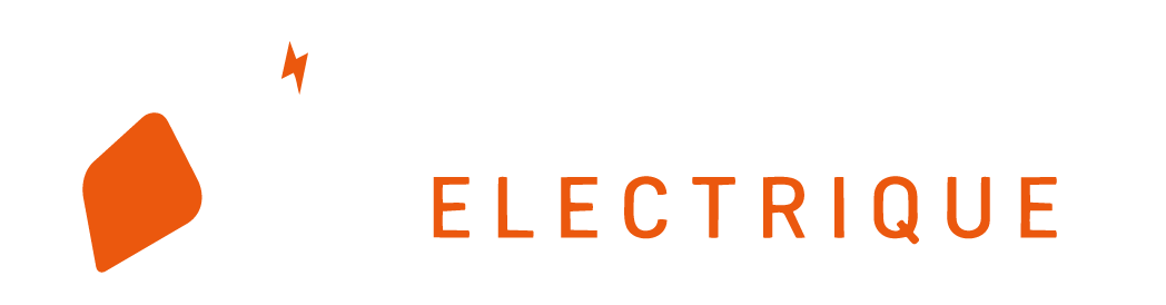 Tronçonneuses électriques