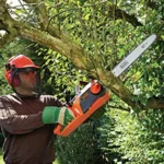 BLACK+DECKER Tronçonneuse Filaire 2200W : Avis Complet [2026]