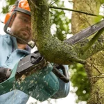 Bosch UniversalChain 35 : Avis Complet et Test [2026]