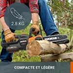 WORX WG322E.1 20V : Avis Complet [2026]
