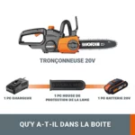 WORX WG322E.1 20V : Avis Complet [2026]