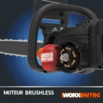 WORX WG385E Tronçonneuse 40V : Avis Complet [2026]